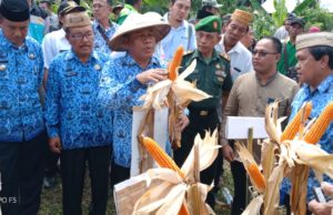 Mulai Musim Hujan, Sekda Ridwan Minta Kepada Penyuluh Pertanian Dampingi Petani