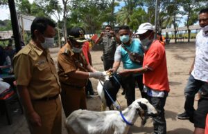 Bupati Gorut Serahkan Bantuan Ternak untuk Masyarakat