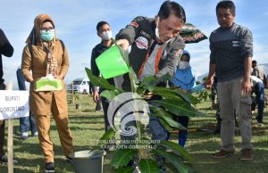 Hari Air Sedunia, BWSS II Gorontalo Lakukan Penanaman Pohon di Kabgor