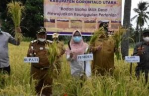 Bupati Indra Kagum dengan Potensi Ponelo