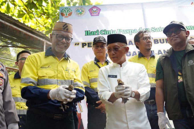 Merdeka Gold Resources Konservasi Burung Maleo, Satwa Terancam Punah Di Pohuwato