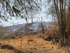 Pani Gold Mine Bantu Penanganan Kebakaran Lahan di Kapali dan Ponelo